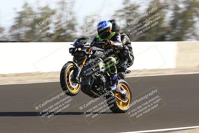 media/Feb-16-2025-TrackDaz (Sun) [[85eae43da9]]/C Group/140pm (Wheelie Dip)/